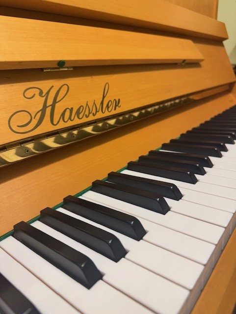 Haessler by Bluthner